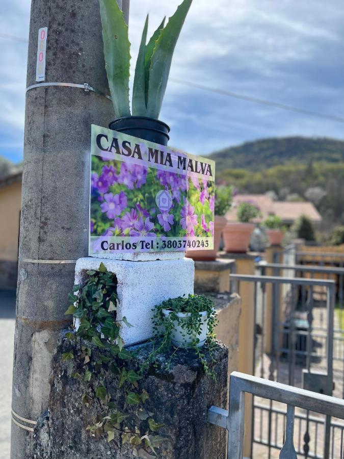 リッコ・デル・ゴルフォ・ディ・スペーツィアCasa Mia Malvaアパートメント エクステリア 写真